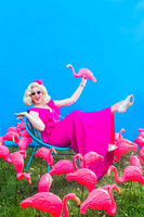 2020_Flamingo